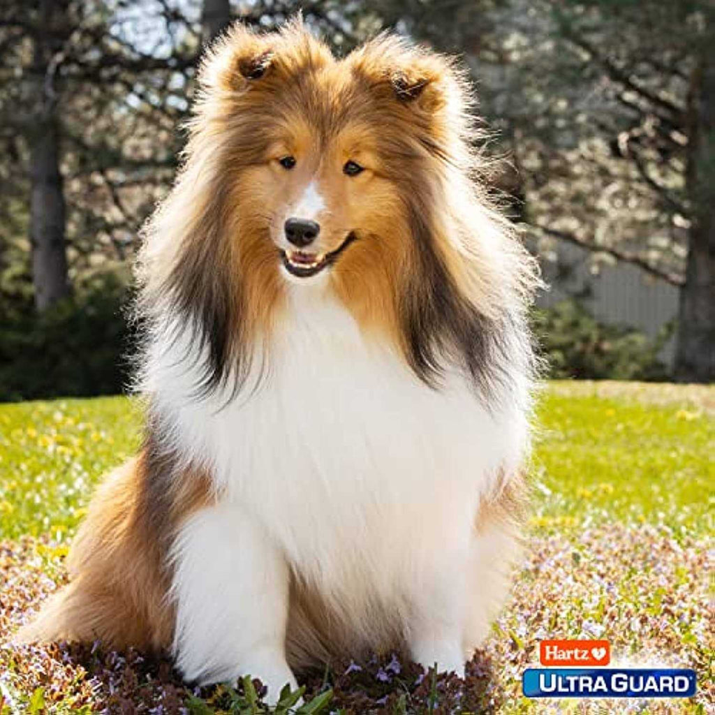 Flea & Tick Topical Dogs Z9181