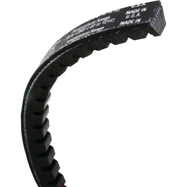 Cogged V-Belt D5909