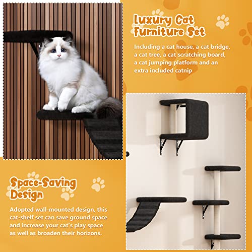 Beige 5 Pcs Wall-Mounted Cat Climber Set with Cat Shelves, Ladder, Cat Condo House, Scratching Board and Cat Tree R637739
