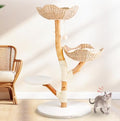 Solid Wood Cat Tree with Scratching Post and Bed R857242