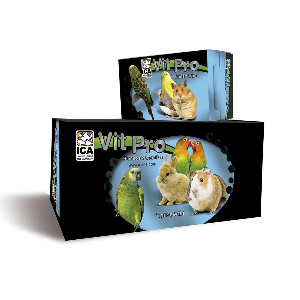 Anole Food P3267
