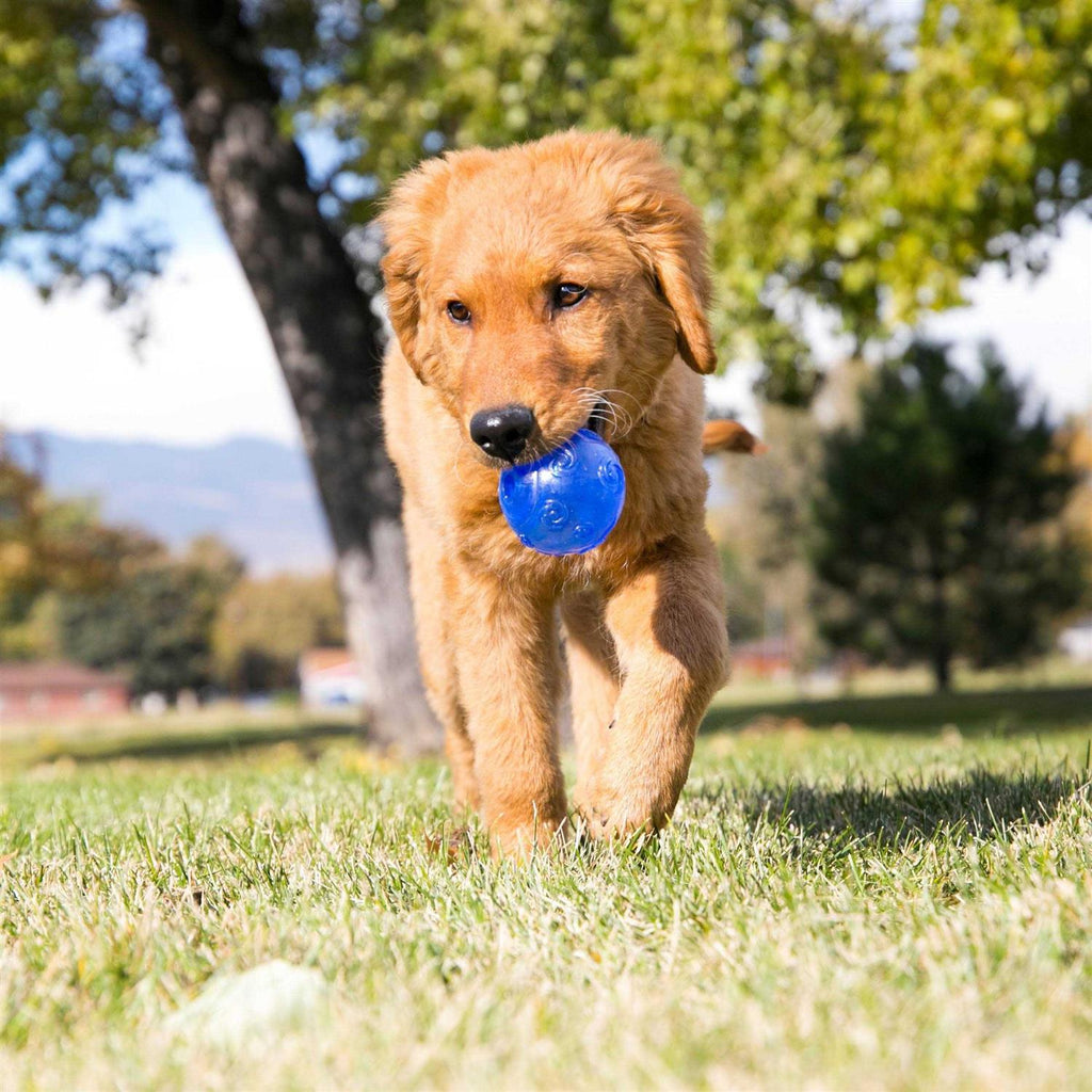 Dog Toy G15232