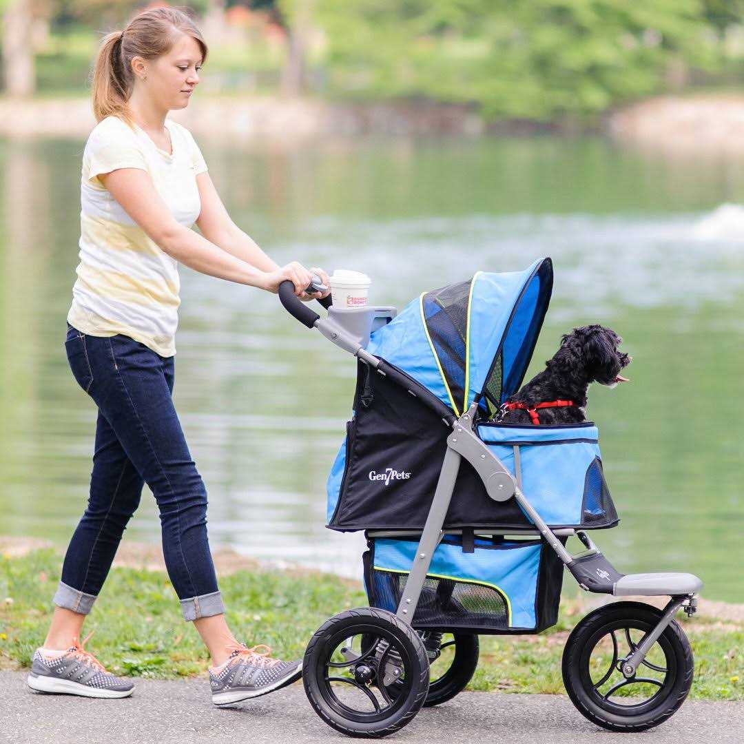 Pet Stroller O679