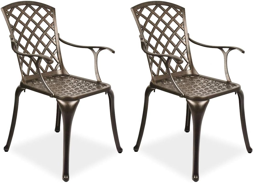2 Piece Cast Aluminum Bistro Dining Chair Set R16532