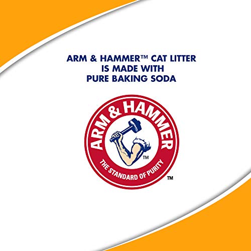 Fragrance Free Clumping Cat Litter 40lb Q373750