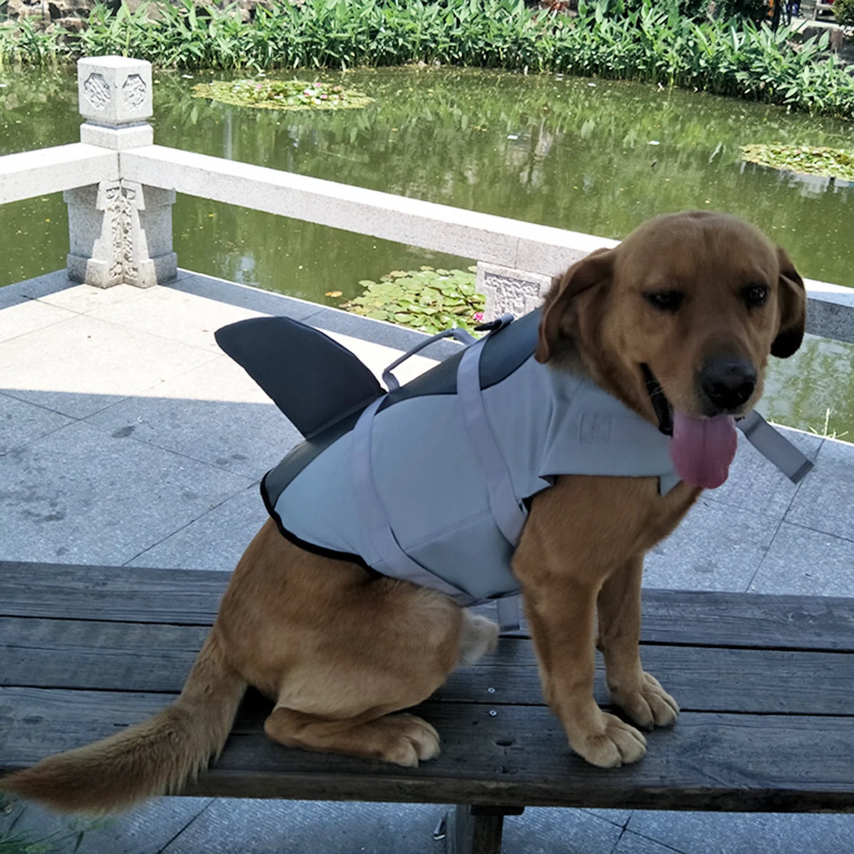 Dog Pet Shark Swimsuit Vest Safety Wear Preserver For Water Safety Device P331372