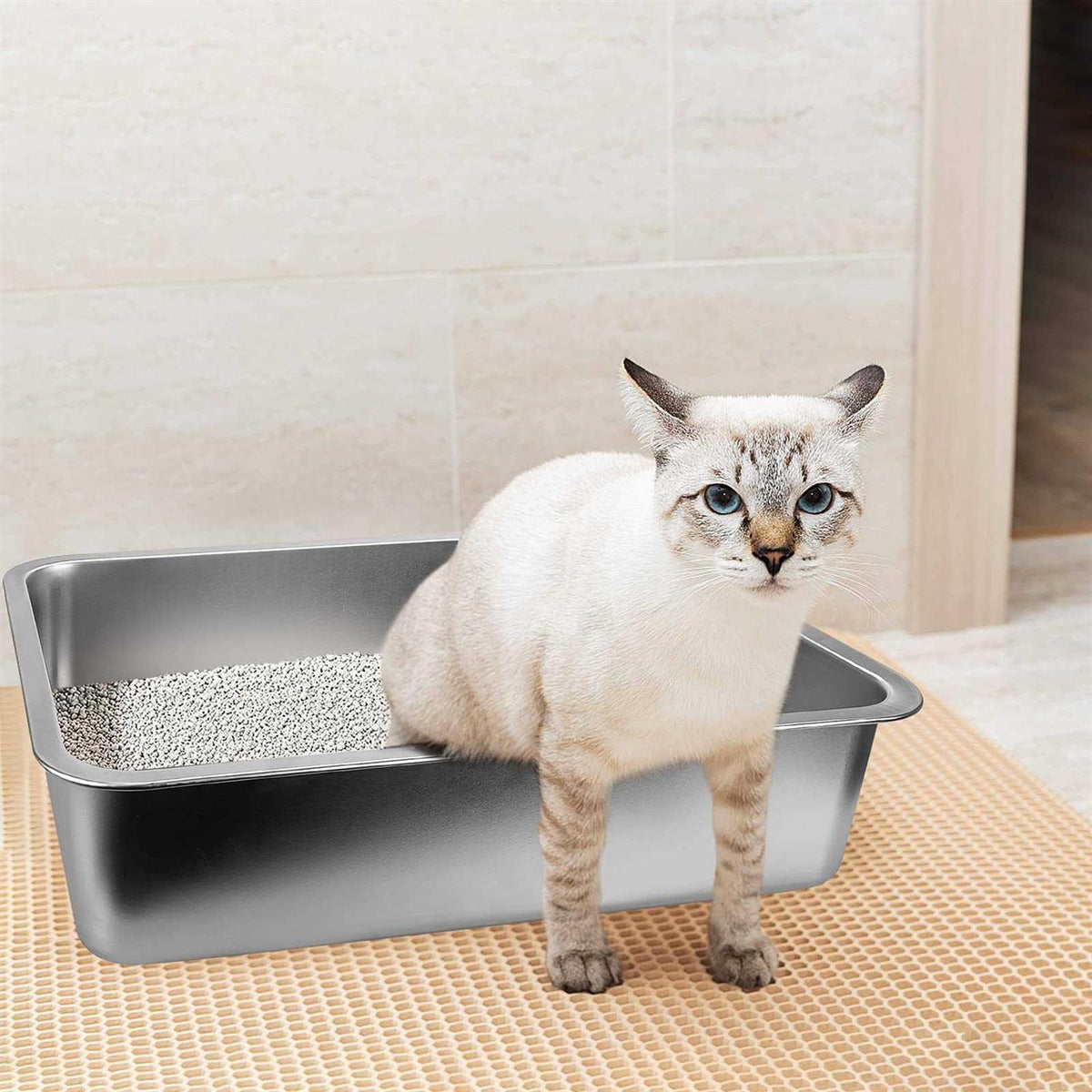 Stainless Steel Litter Box S4103