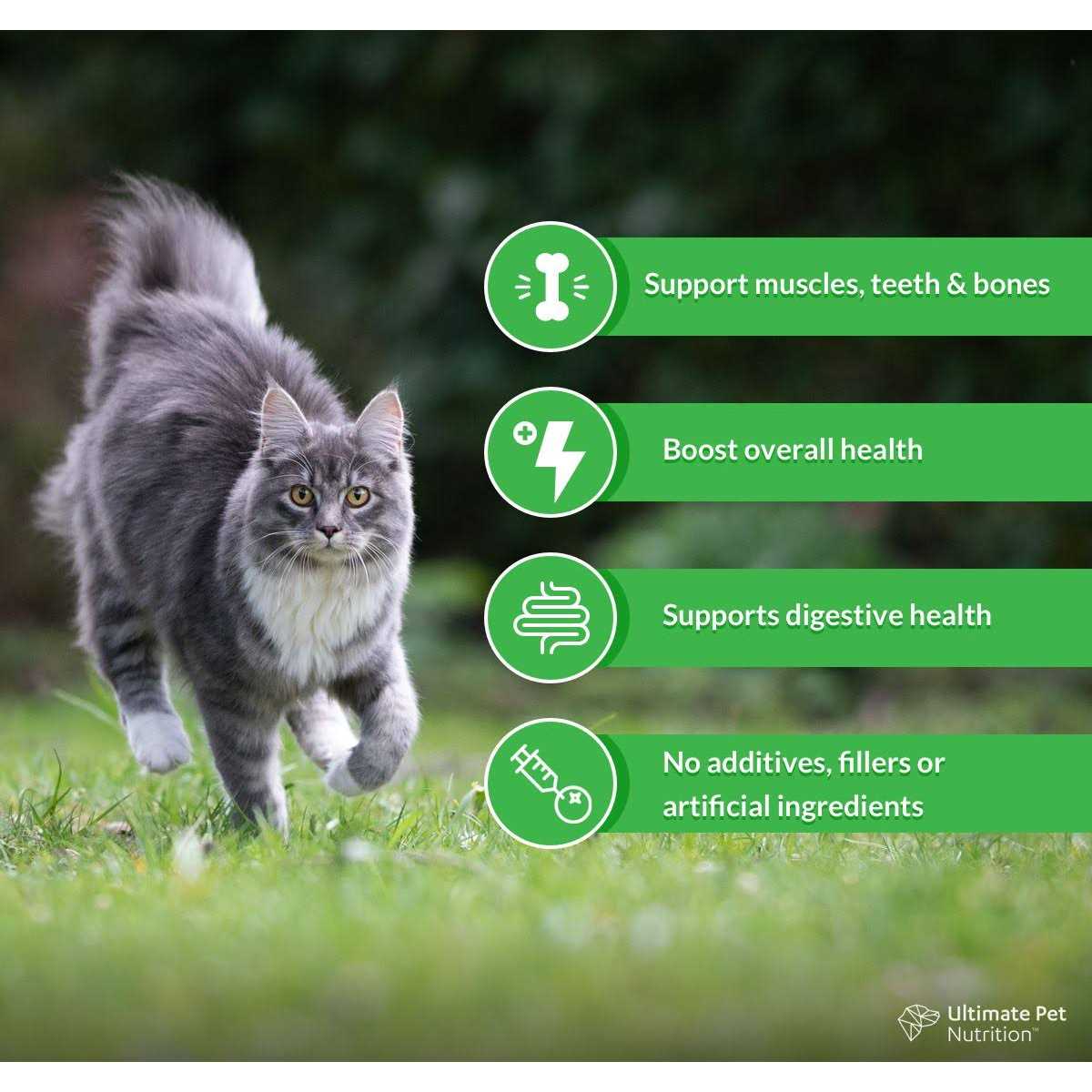 Cat Nutritional Supplement E638