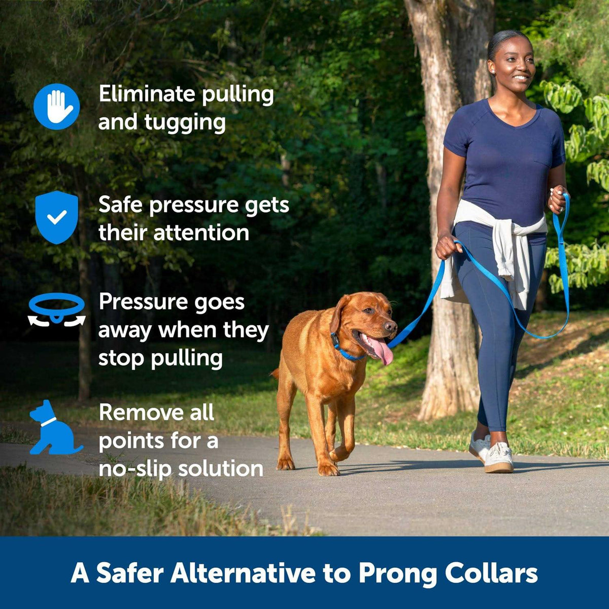 Soft Point Training Collar W24276