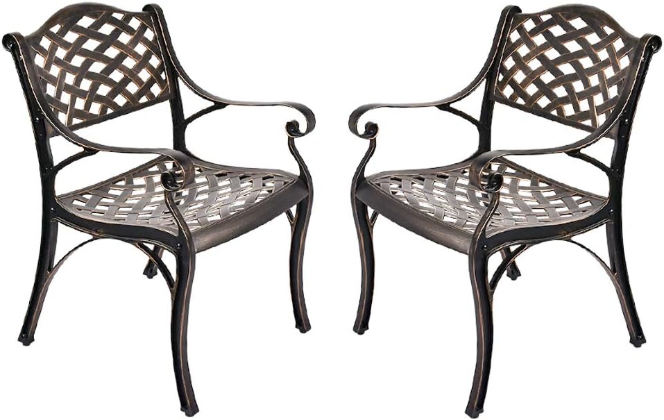 2 Piece Cast Aluminum Bistro Dining Chair Set R16532