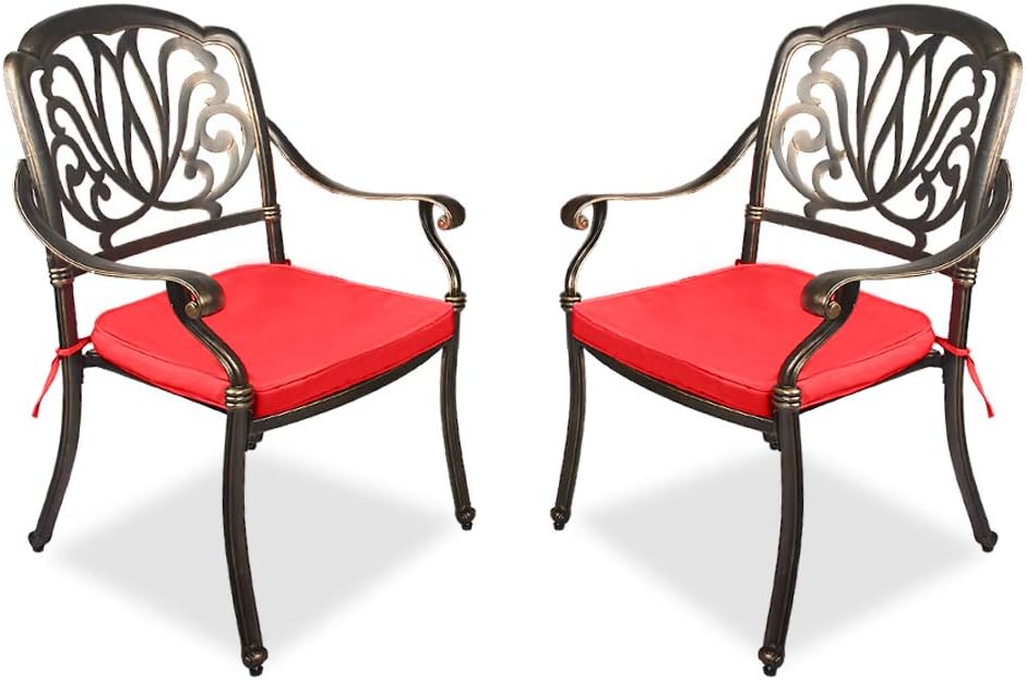 2 Piece Cast Aluminum Bistro Dining Chair Set R16532