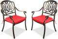 2 Piece Cast Aluminum Bistro Dining Chair Set R16532