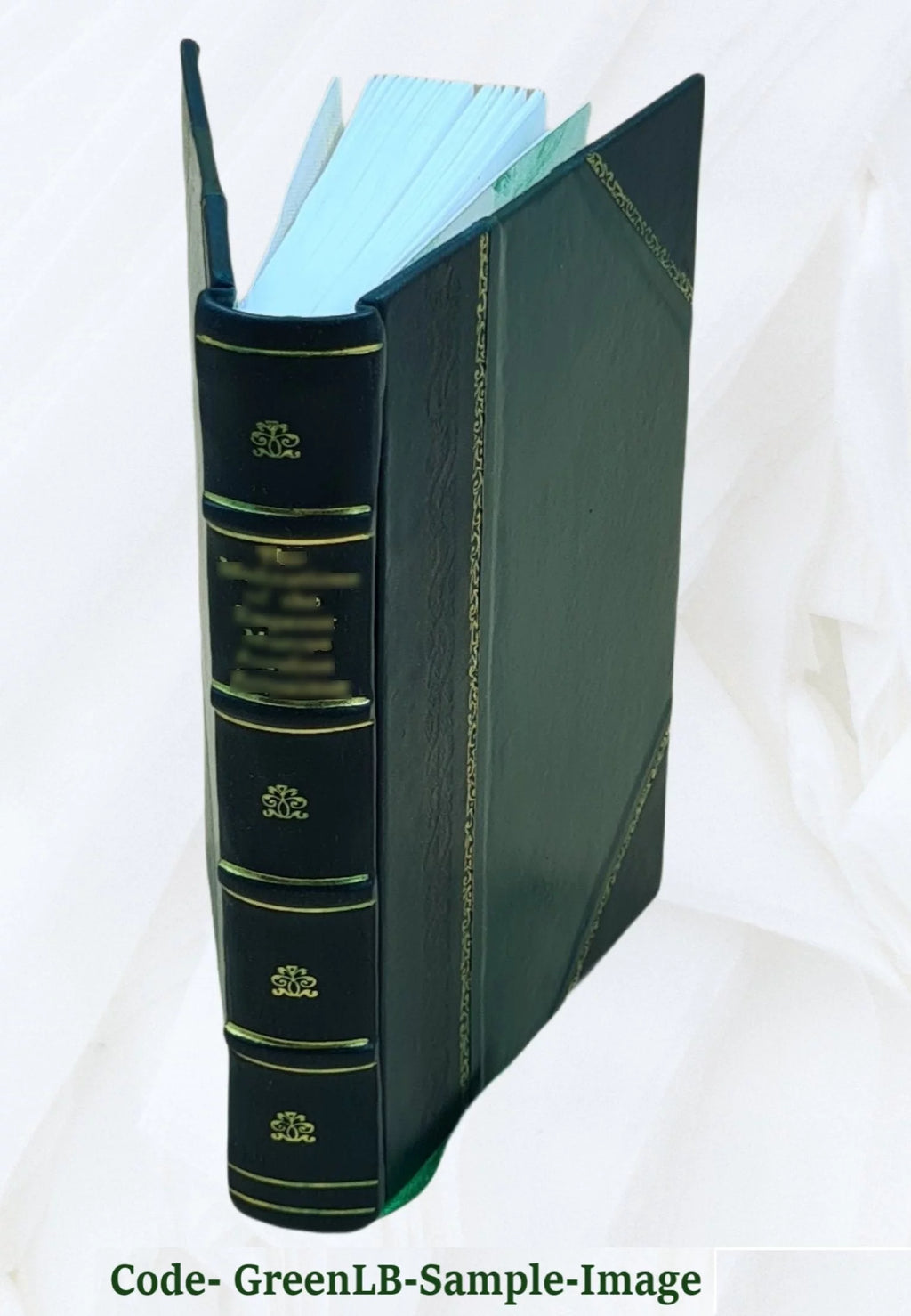 1920 Leather Bound I19076