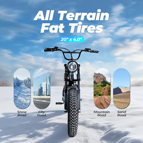 1500W 48V 15.6AH 20x4" Electric Bike S836