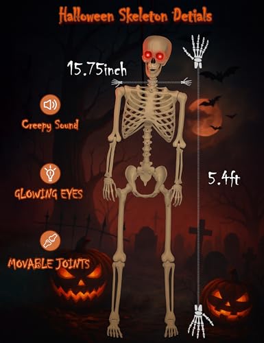 Life Size Skeleton with Glowing Eyes Movable Joints D223527