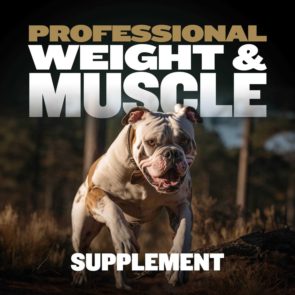 Muscle Builder for Dogs W14213