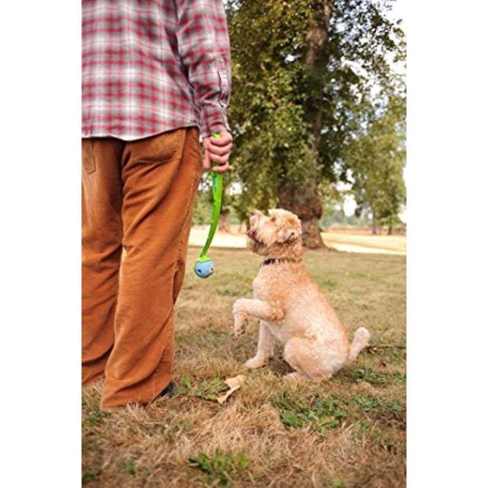 Fetch Medley Pet Supplies L209958