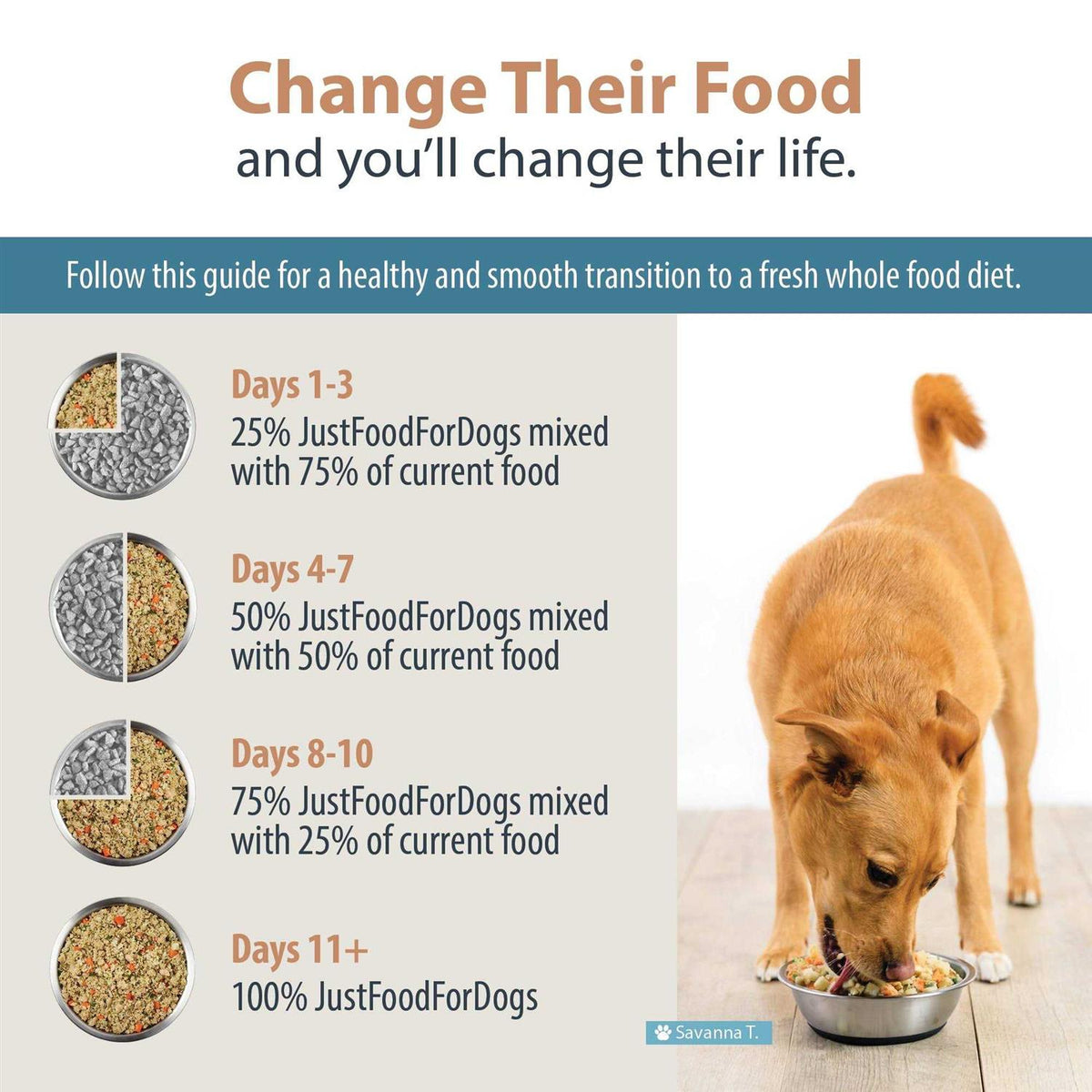 Frozen Dog Food B414