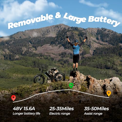 1500W 48V 15.6AH 20x4" Electric Bike S836