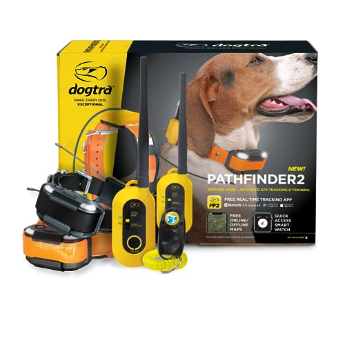 GPS Dog Training Collar with Remote, 9 Mile Range, Tracking P65474