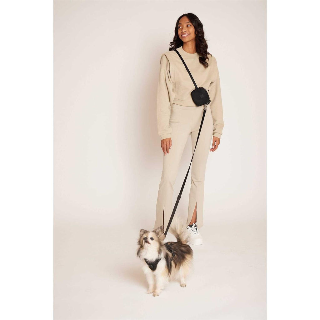 Hands Free Leash F58596