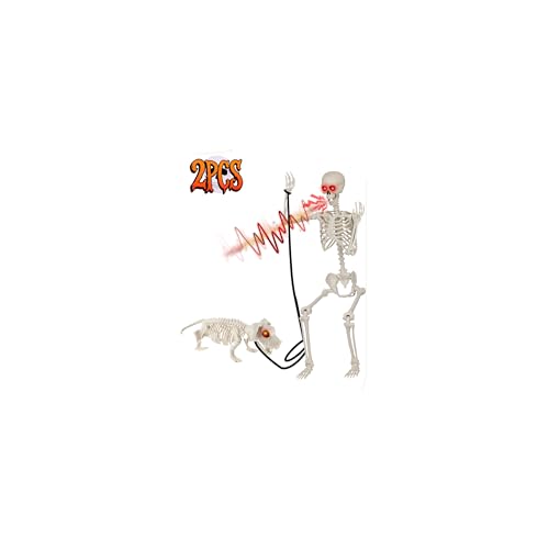 Life Size Skeleton with Glowing Eyes Movable Joints D223527