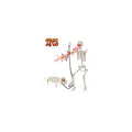 Life Size Skeleton with Glowing Eyes Movable Joints D223527