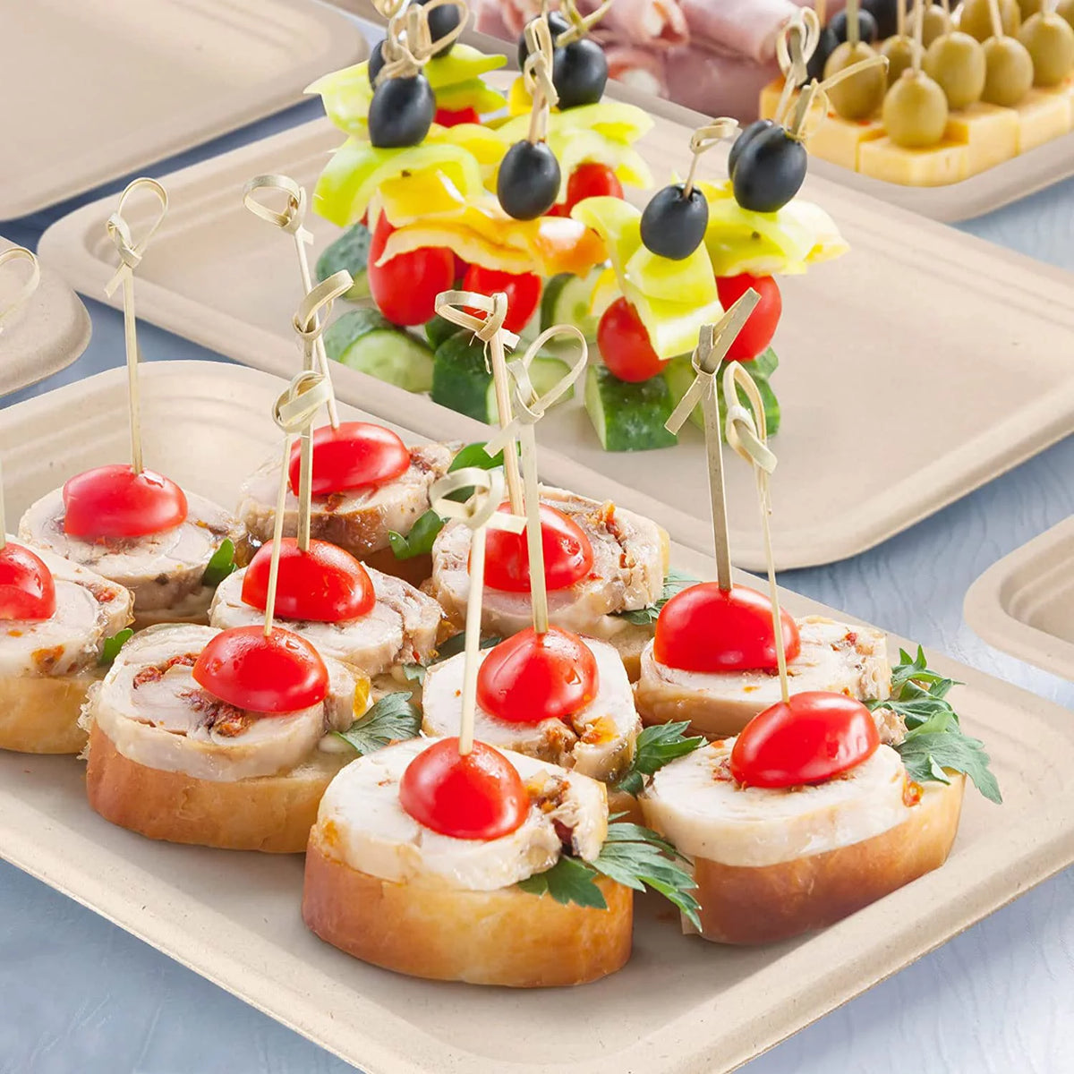 50 Pack 14-inch Compostable Sugarcane Food Trays Z680