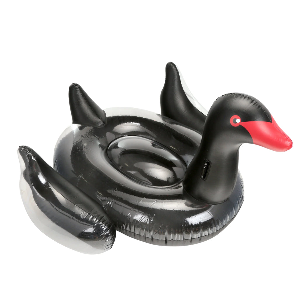 Multicolor Giant Pool Float R573187