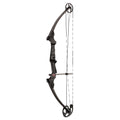 Carbon RH Bow R85511