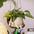 Hanging Swing Chair Planter Pot Smile Face Plant Pot for Indoor Outdoor Plants Cute Head Flower Pots U3425