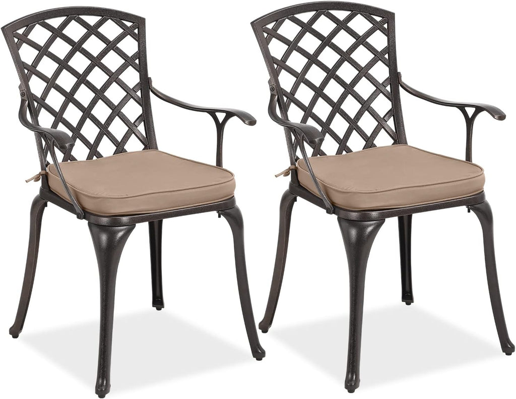 2 Piece Cast Aluminum Bistro Dining Chair Set R16532