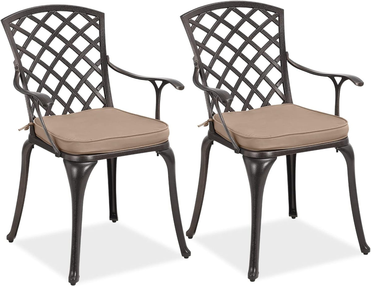 2 Piece Cast Aluminum Bistro Dining Chair Set R16532