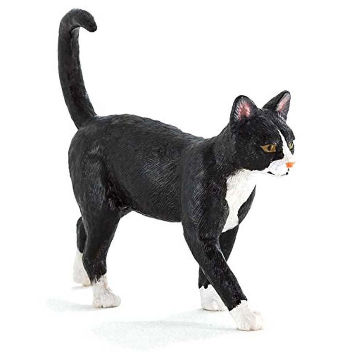 Farm Yard Cat M358