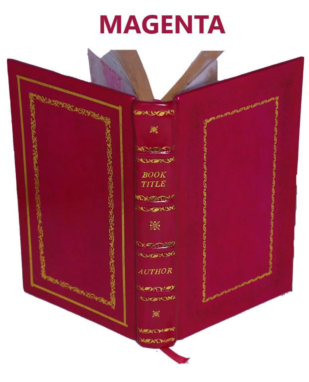 1875 Volume v.1, pt.2 Leather Bound A152460