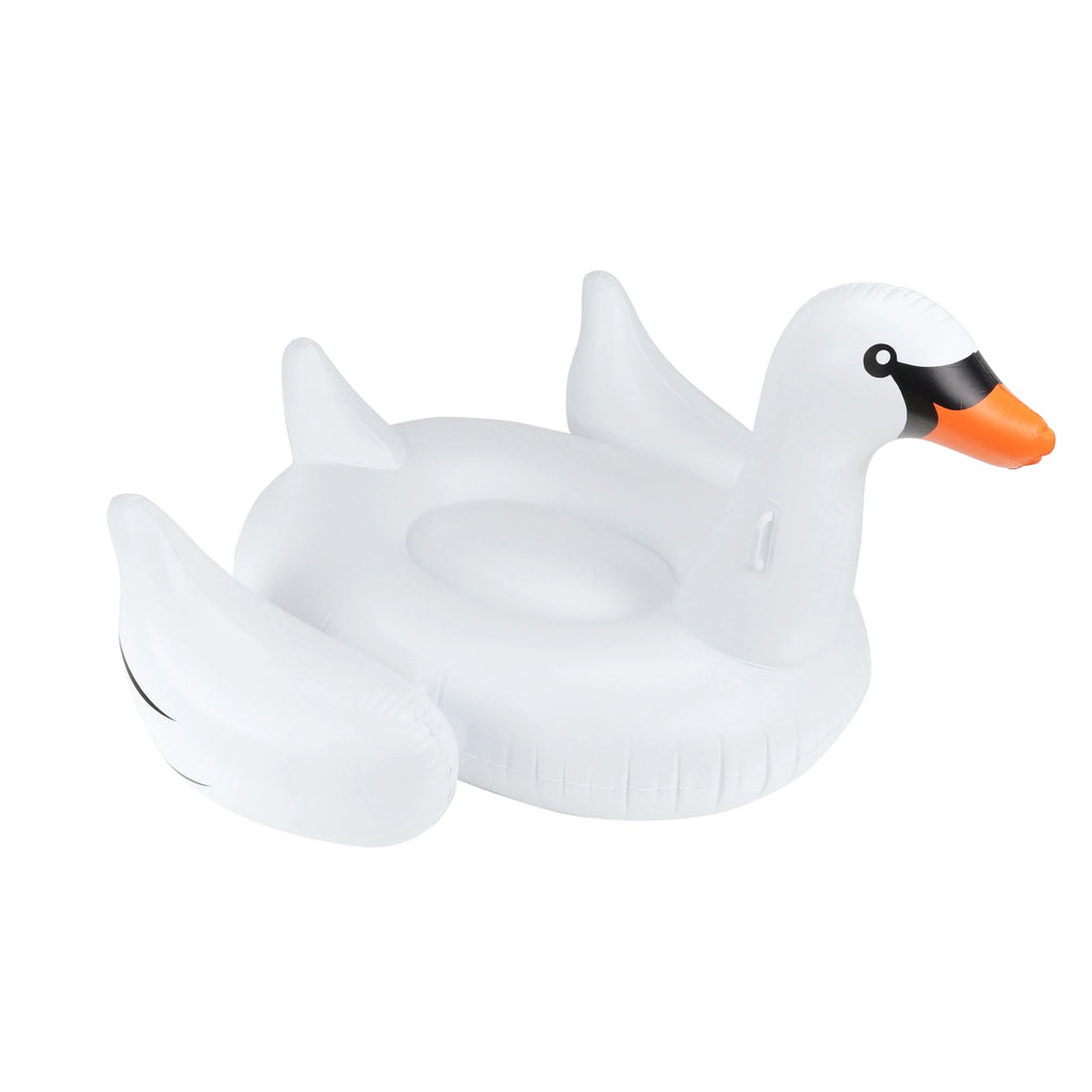 Multicolor Giant Pool Float R573187