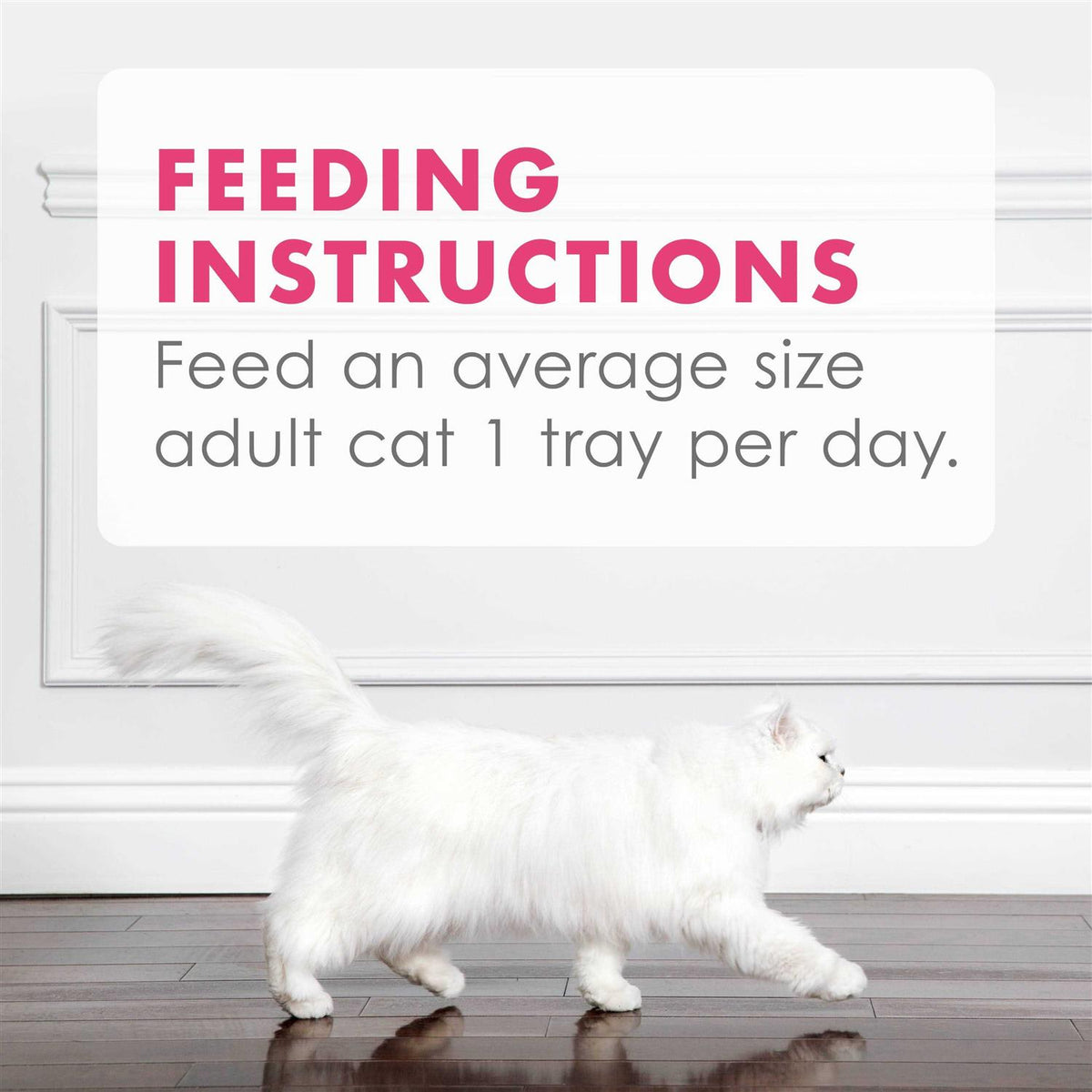 Grain Free Wet Cat Food Topper Salmon Appetizer S288507