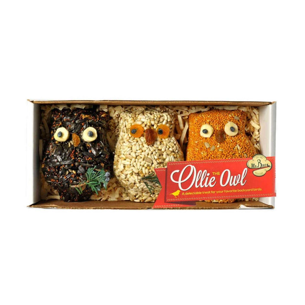 Bird Seed Ornaments Q292870