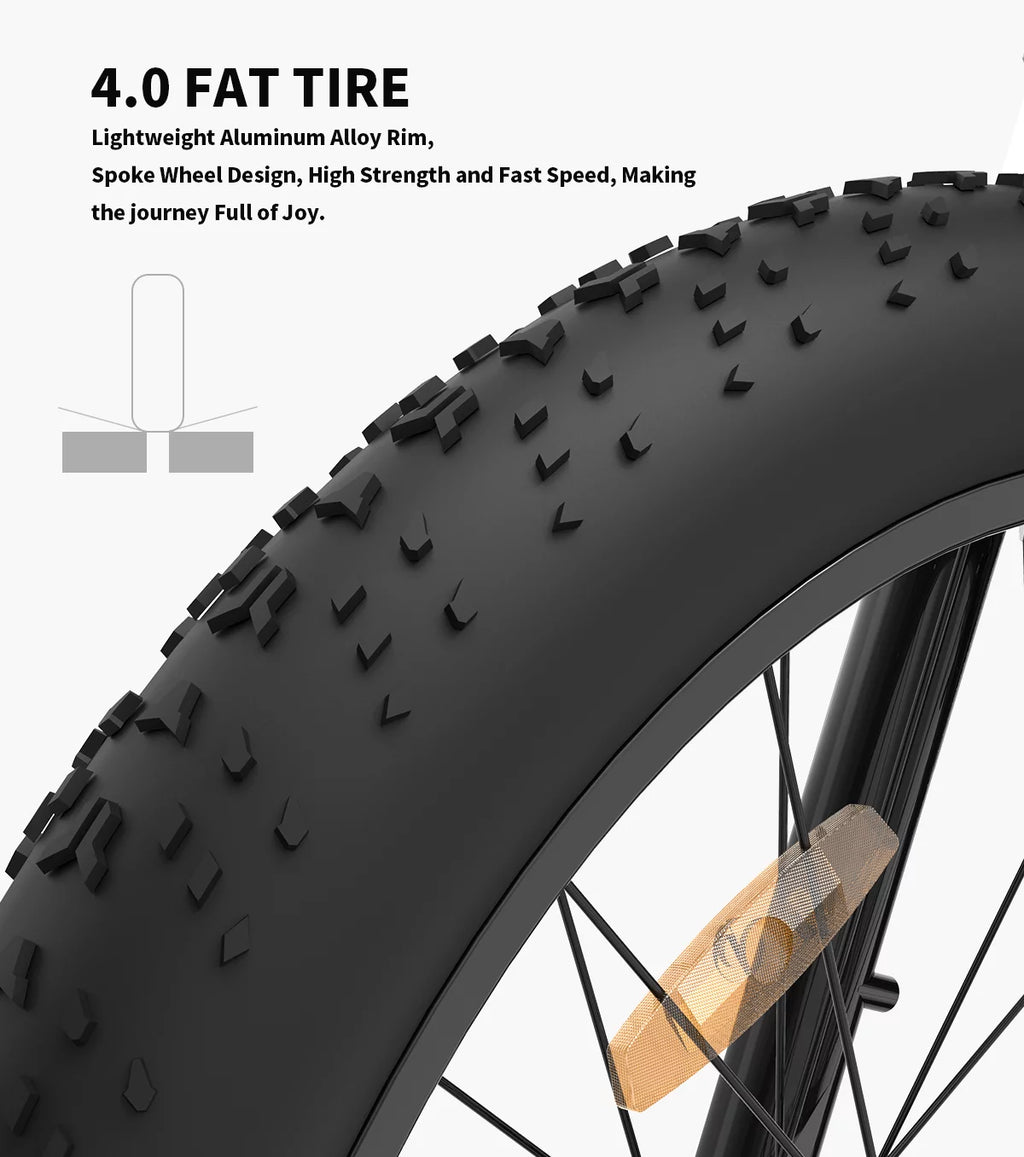 750W 48V 13AH Fat Tire Electric Mountain Bike A492