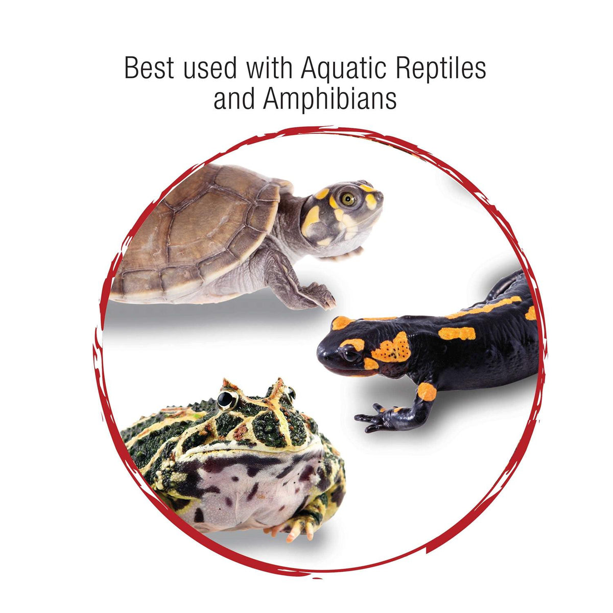 Aquatic Reptile Internal Filter L5660