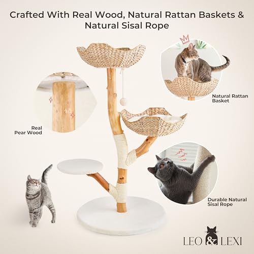 Solid Wood Cat Tree with Scratching Post and Bed R857242