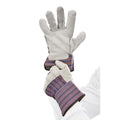 Split Leather Work Gloves with Cotton Back, 5 Pair F46703