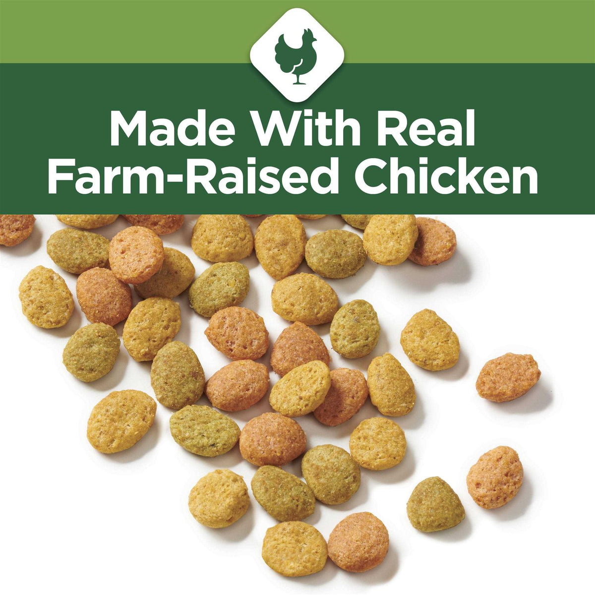 Indoor Dry Cat Food M824168