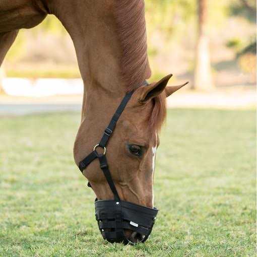 Poly Grazing Muzzle T114