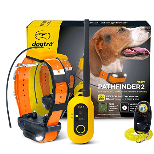 GPS Dog Training Collar with Remote, 9 Mile Range, Tracking P65474