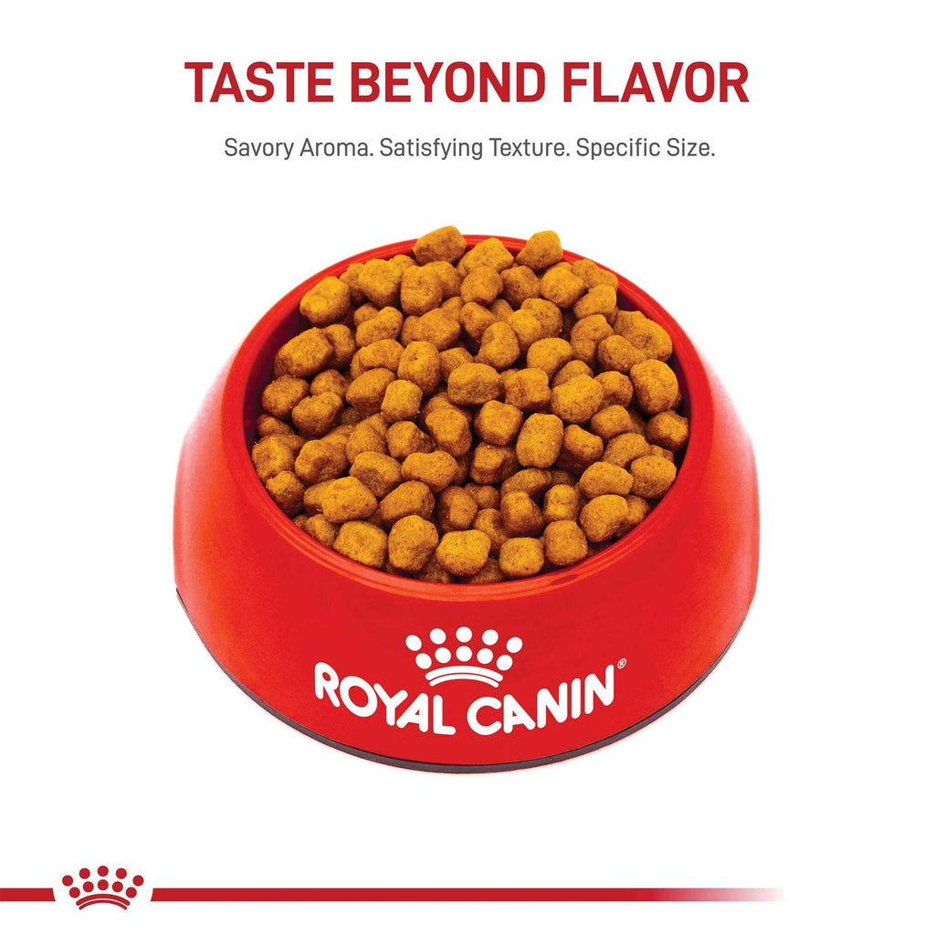 Adult Dry Dog Food N84976