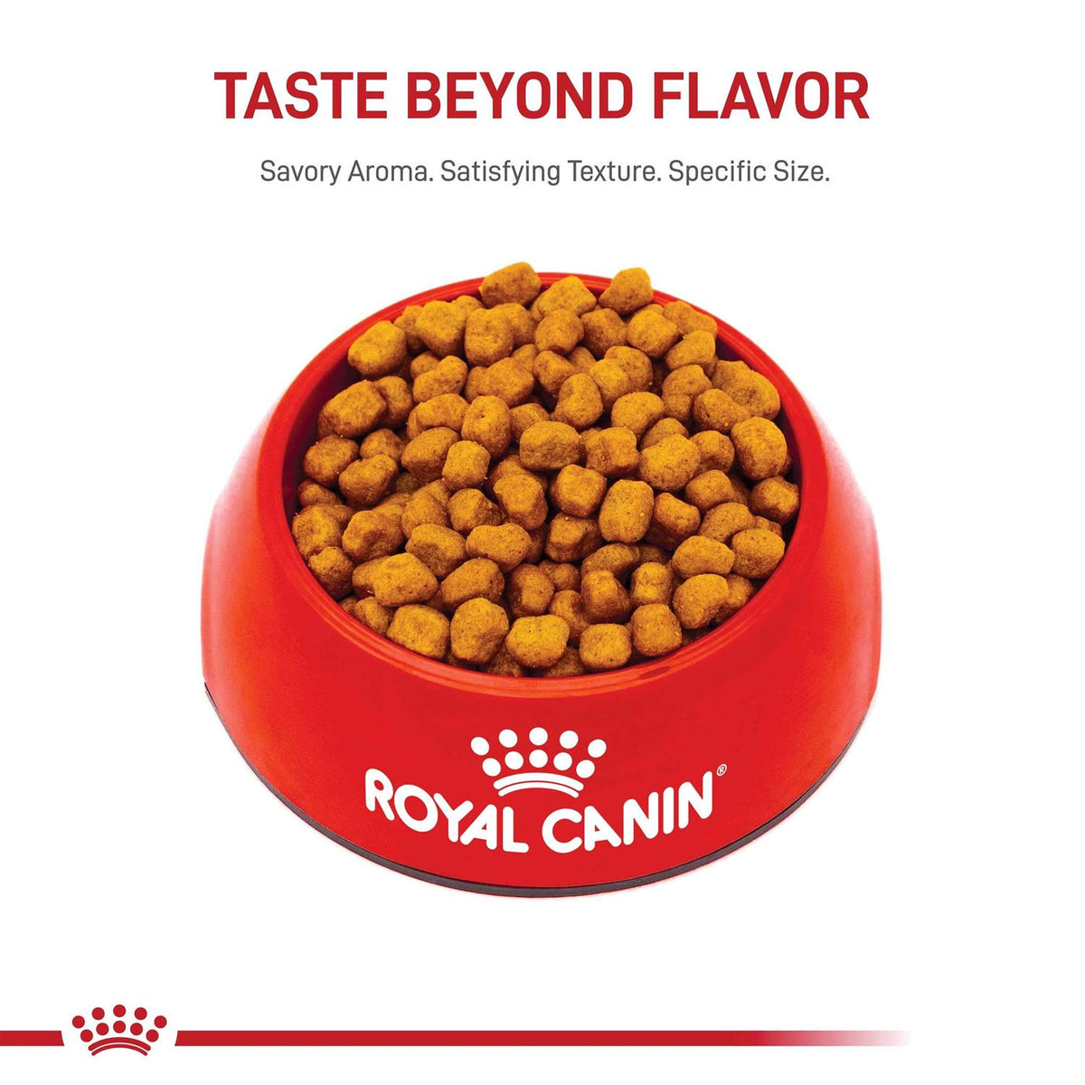 Adult Dry Dog Food N84976