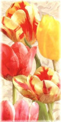 Glowing Tulips Canvas V80934
