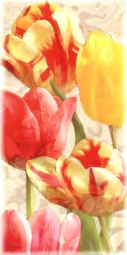 Glowing Tulips Canvas V80934