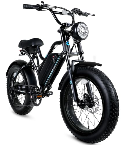 1500W 48V 15.6AH 20x4" Electric Bike S836